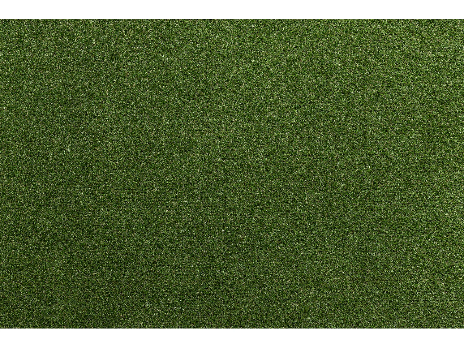 ERBA SINTETICA ELIT dimensioni finite 150x200 cm