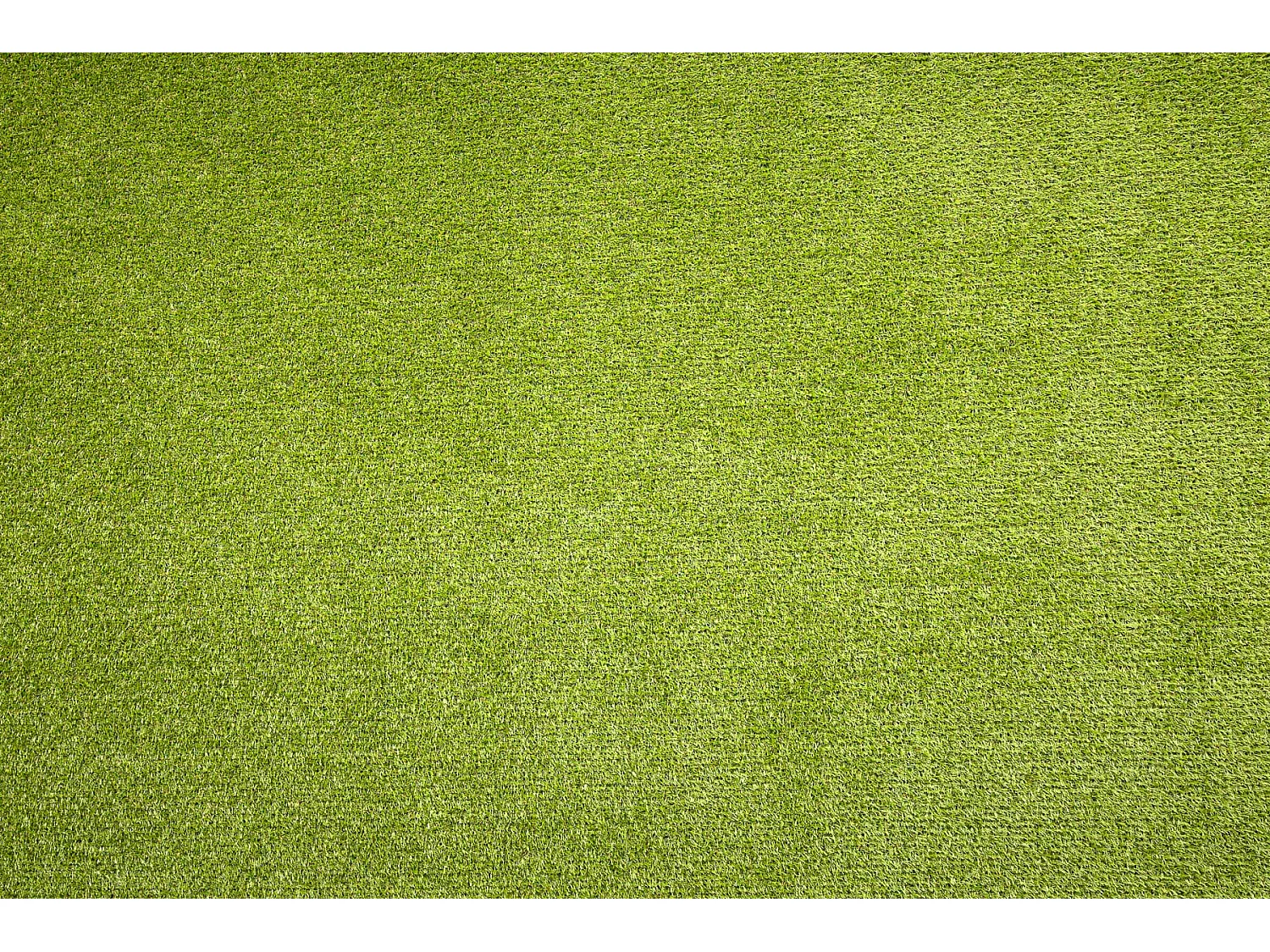 GAZON ARTIFICIEL ALVA toute taille 100x700 cm