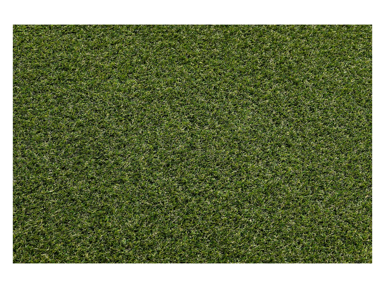 KUNSTGRAS WALNUT select maat 200x300 cm