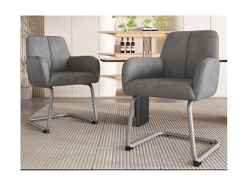 Set aus 2 Freischwingern mit Kunstlederbezug – mit Metallbeinen – Grau