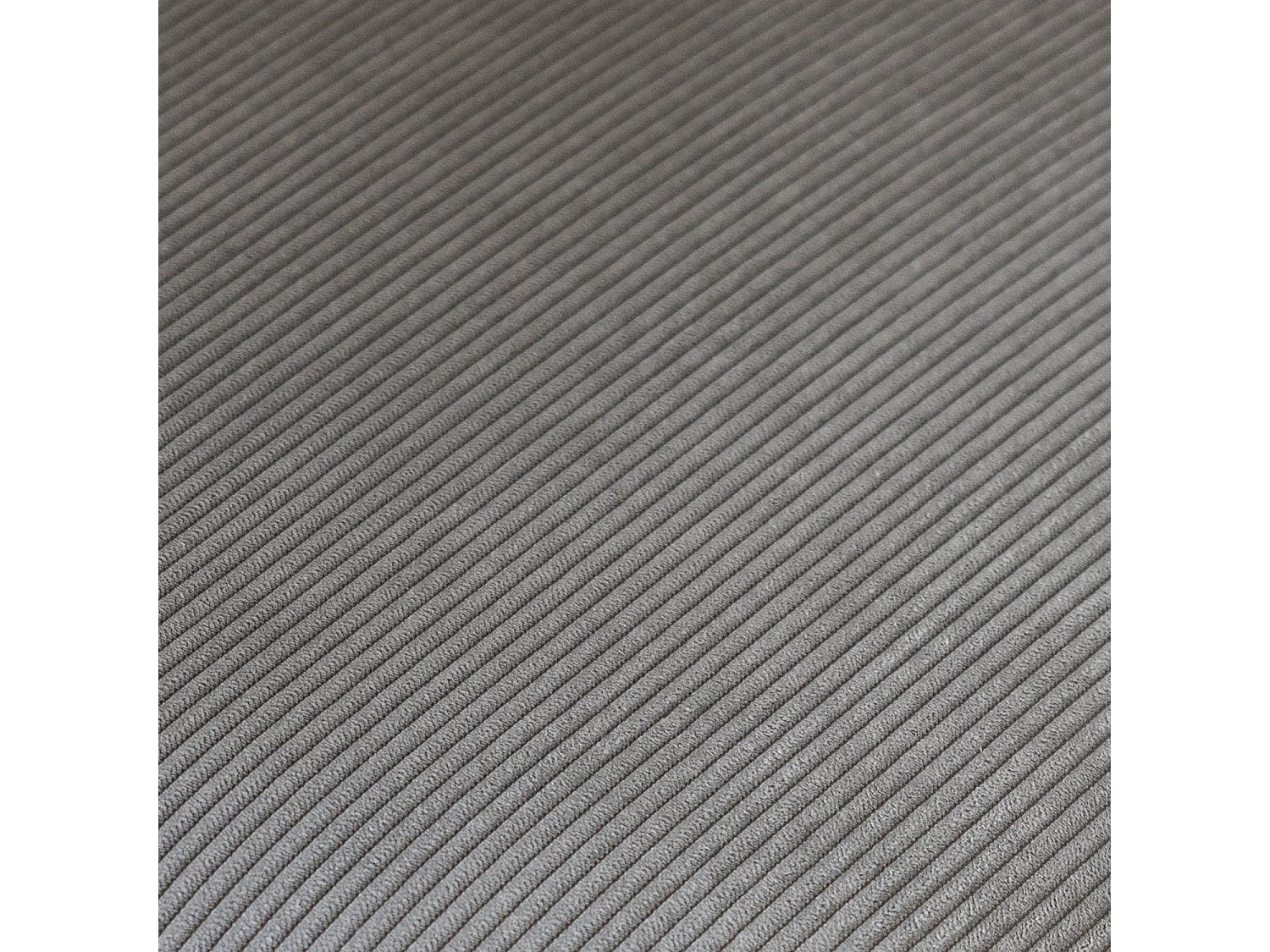 Lot de 2 chaises en velours côtelé gris clair NILSA - HAPPY GARDEN