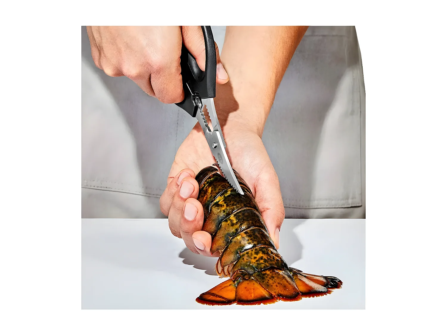 Oxo Ciseaux à crustacés - OX11350600