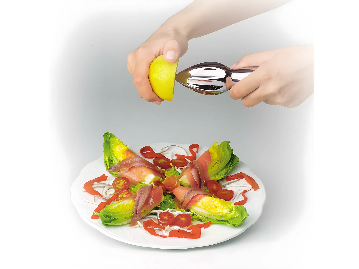 Presse citron manuel inox