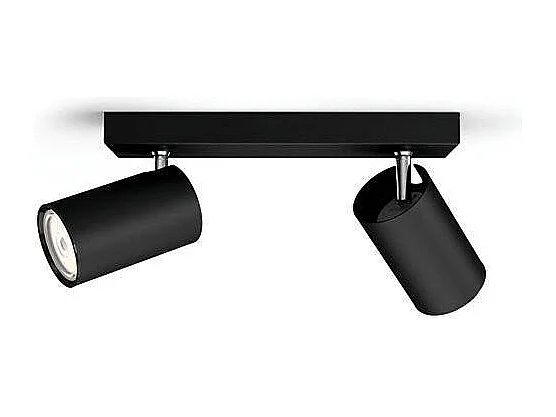 TechBrey Lámpara de Techo 2 Focos PHILIPS Kosipo