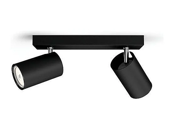 TechBrey Lámpara de Techo 2 Focos PHILIPS Kosipo