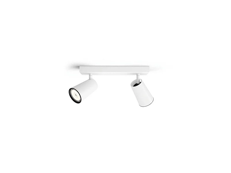 Plafonnier  Paisley 2 Spots Blanc