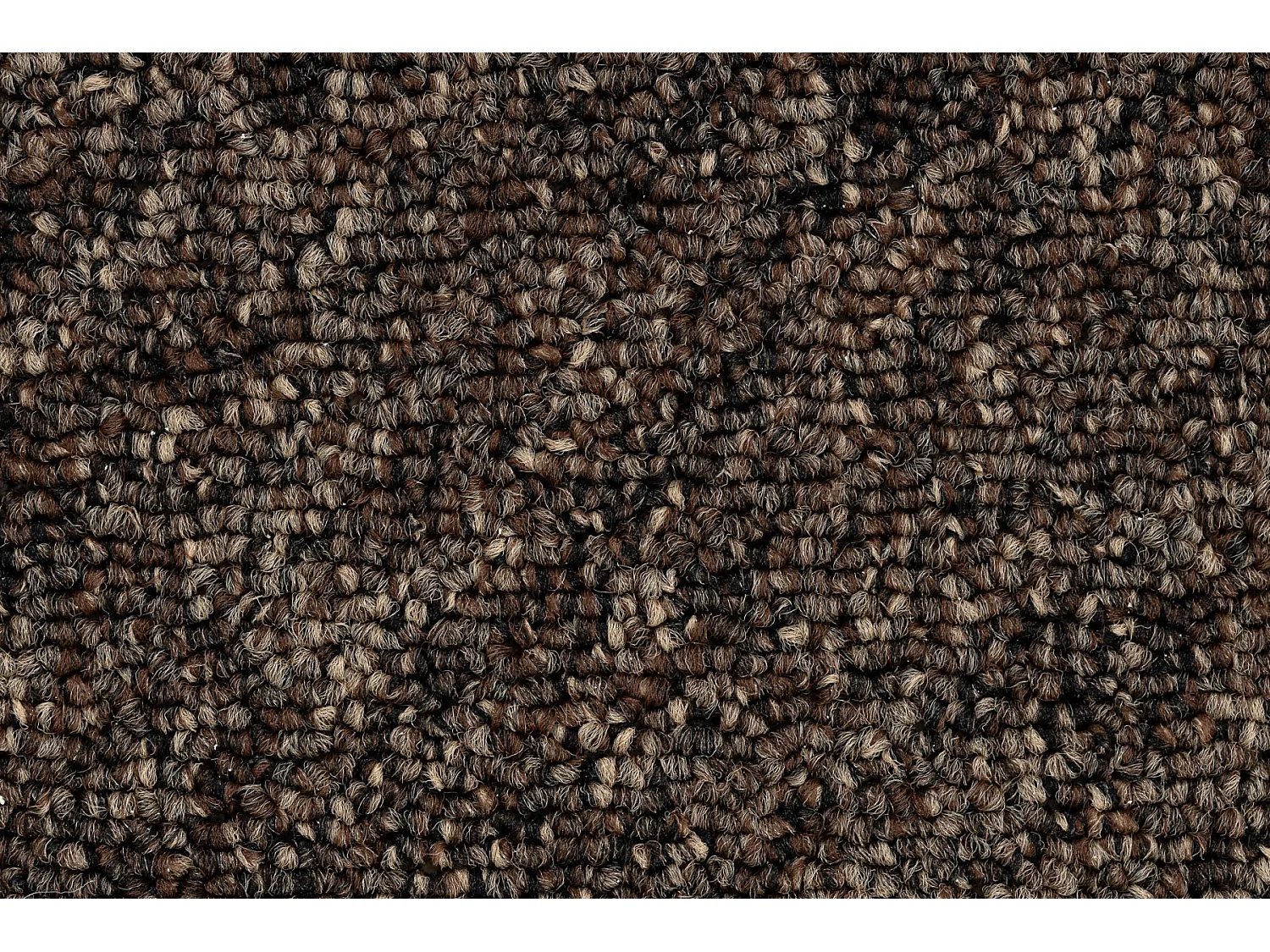 MOQUETTE DES LOCAUX SUPERSTAR 888 marron 100x400 cm