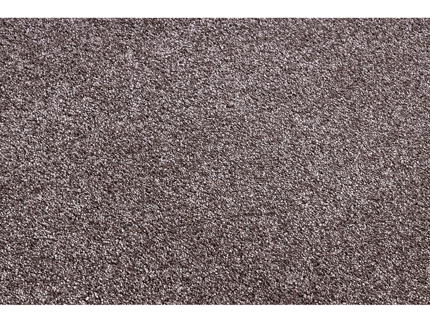 TAPIS - MOQUETTE SAN MIGUEL marron 41 plaine couleur unie 100x200 cm