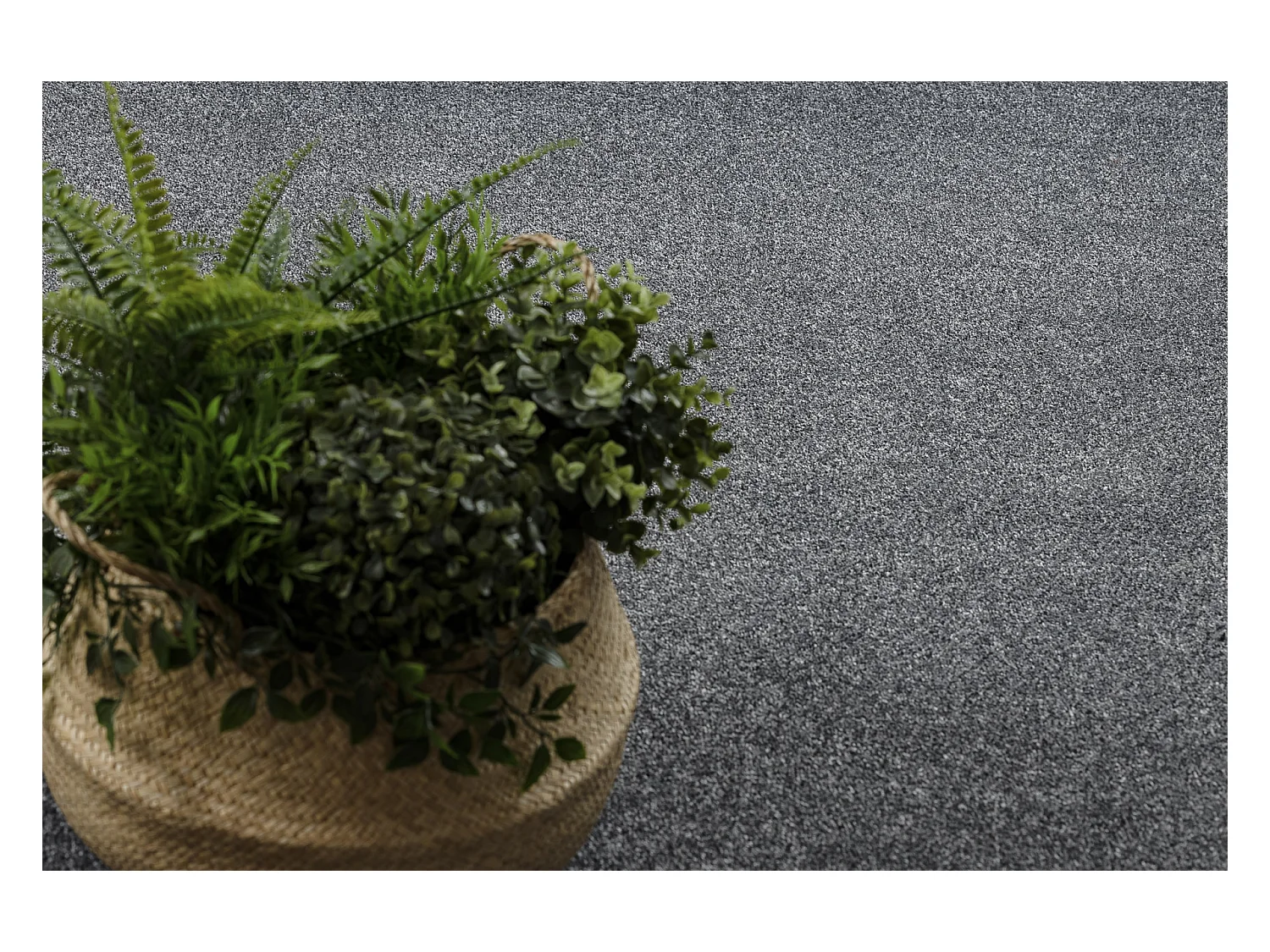 TAPIS - MOQUETTE MOORLAND gris  100x250 cm