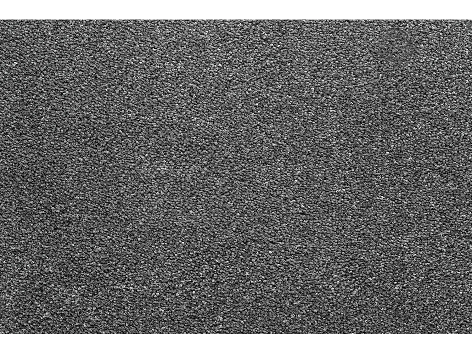 TAPIS - MOQUETTE STAR gris  200x450 cm