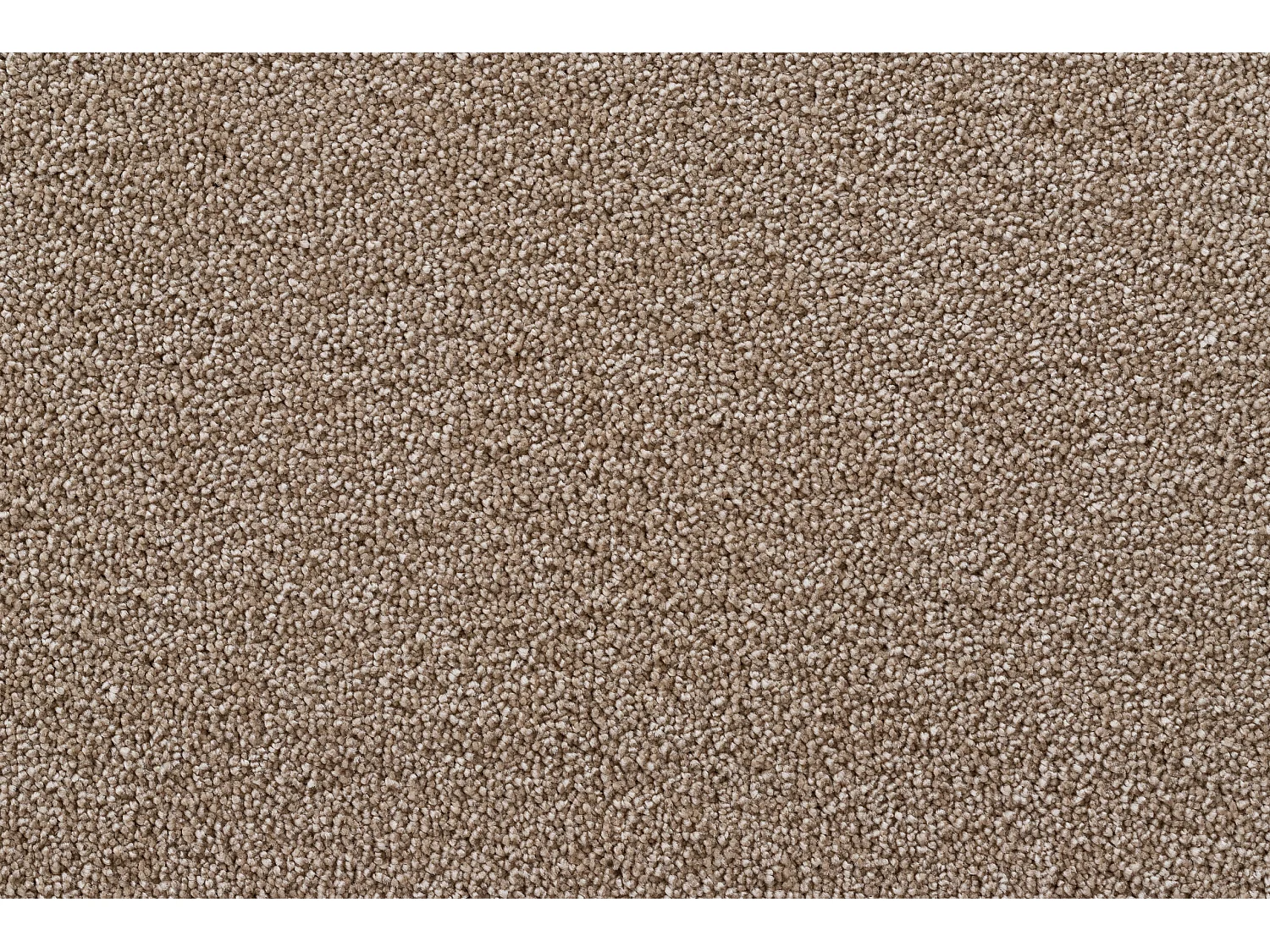 Teppich Teppichboden STAR beige 200x400 cm