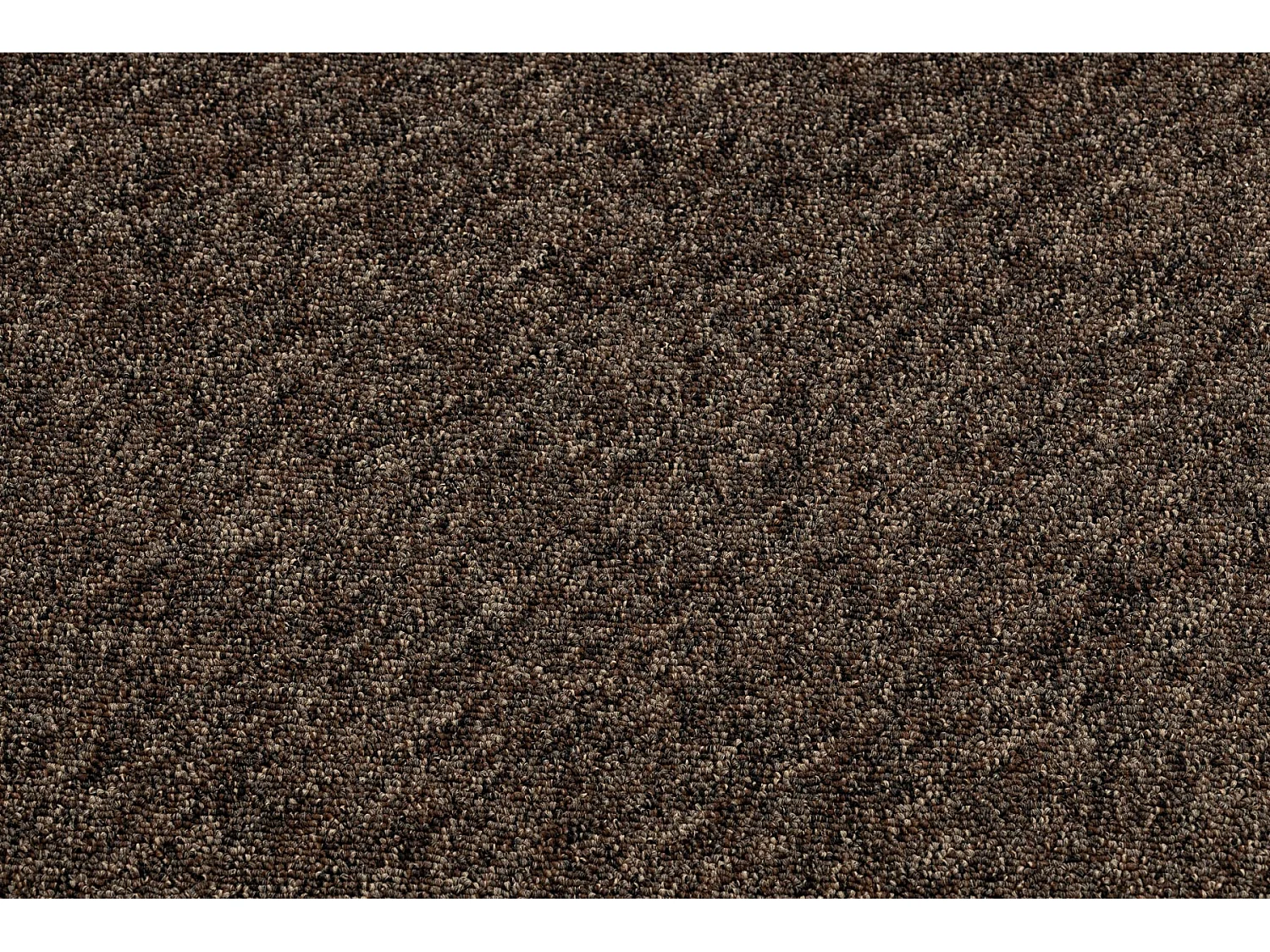 MOQUETTE PER UFFICI SUPERSTAR 888 marrone 100x100 cm