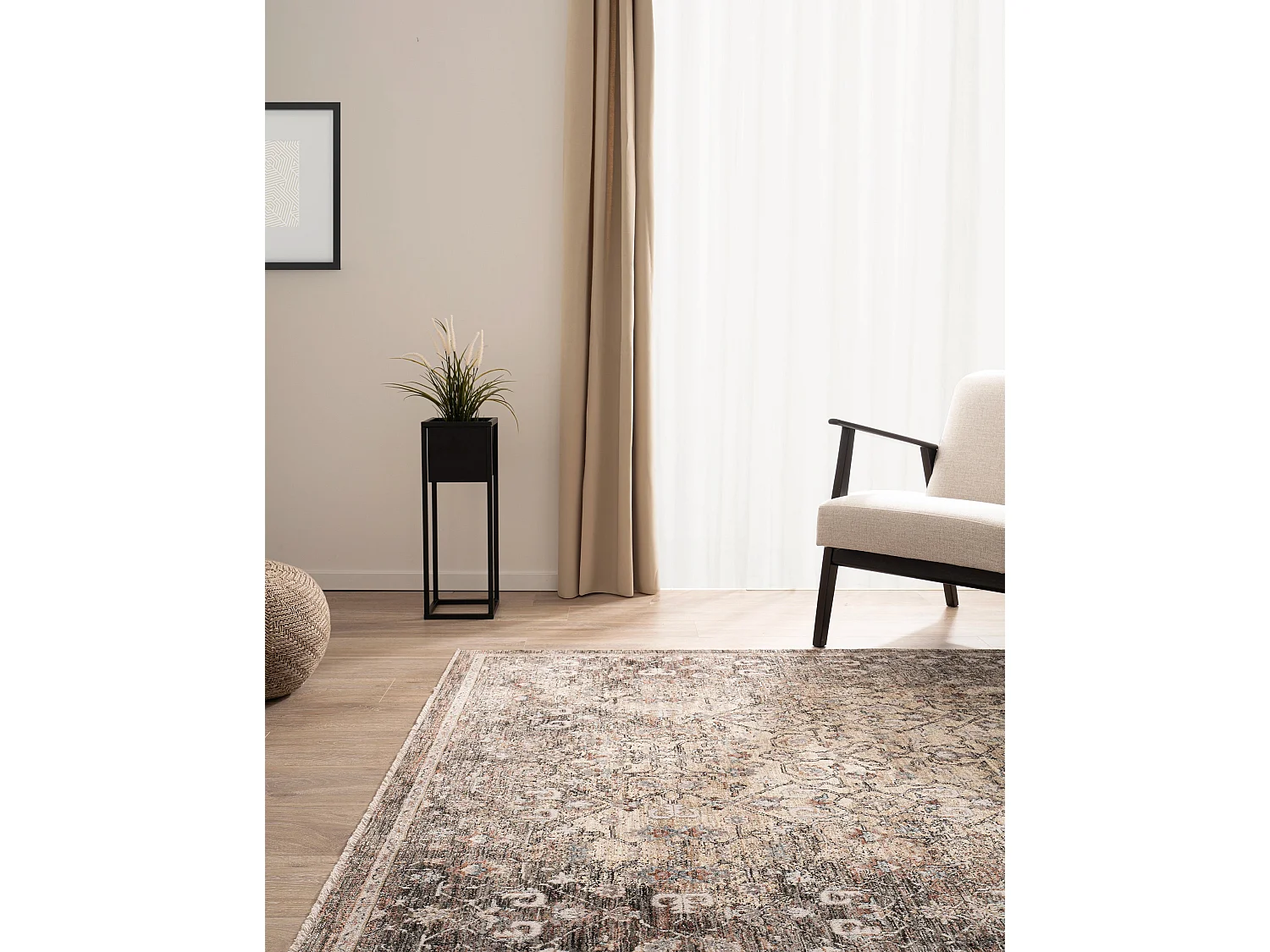 Tapis 245x305 Marron Zora Blege