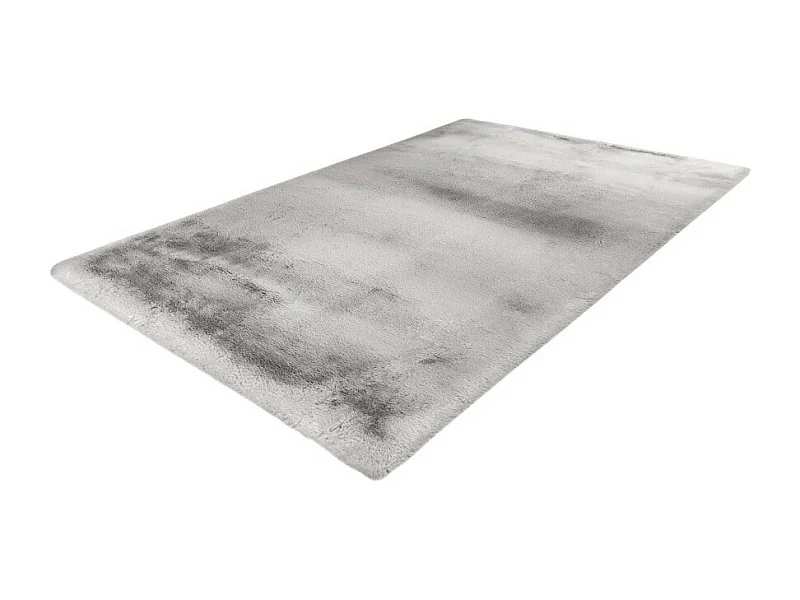 Tapis 230x160cm, design E009Y coloris argent - Confort et élégance pour votre intérieur