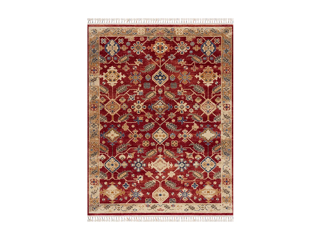 Tapis oriental - OTIKA 31 Rouge 200*290