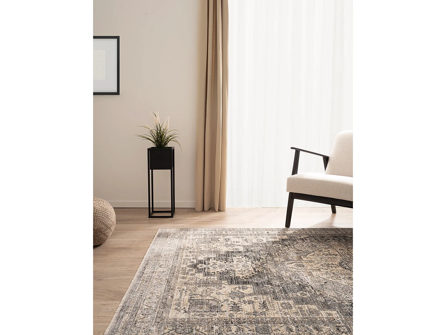 Teppich 245x305 Grau Zora Classical