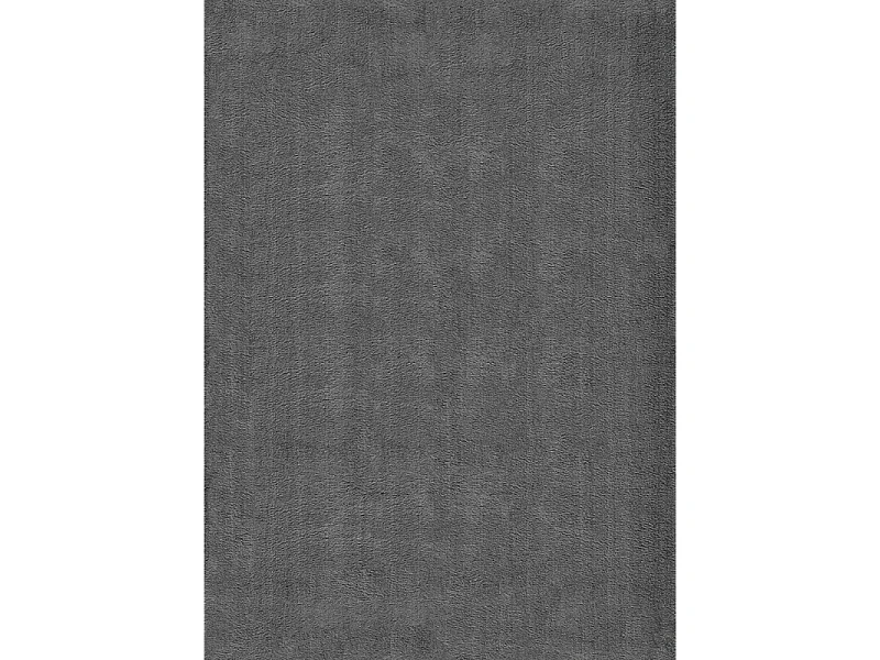 Tapis uni lavable doux - LOFT Gris anthracite 240*340