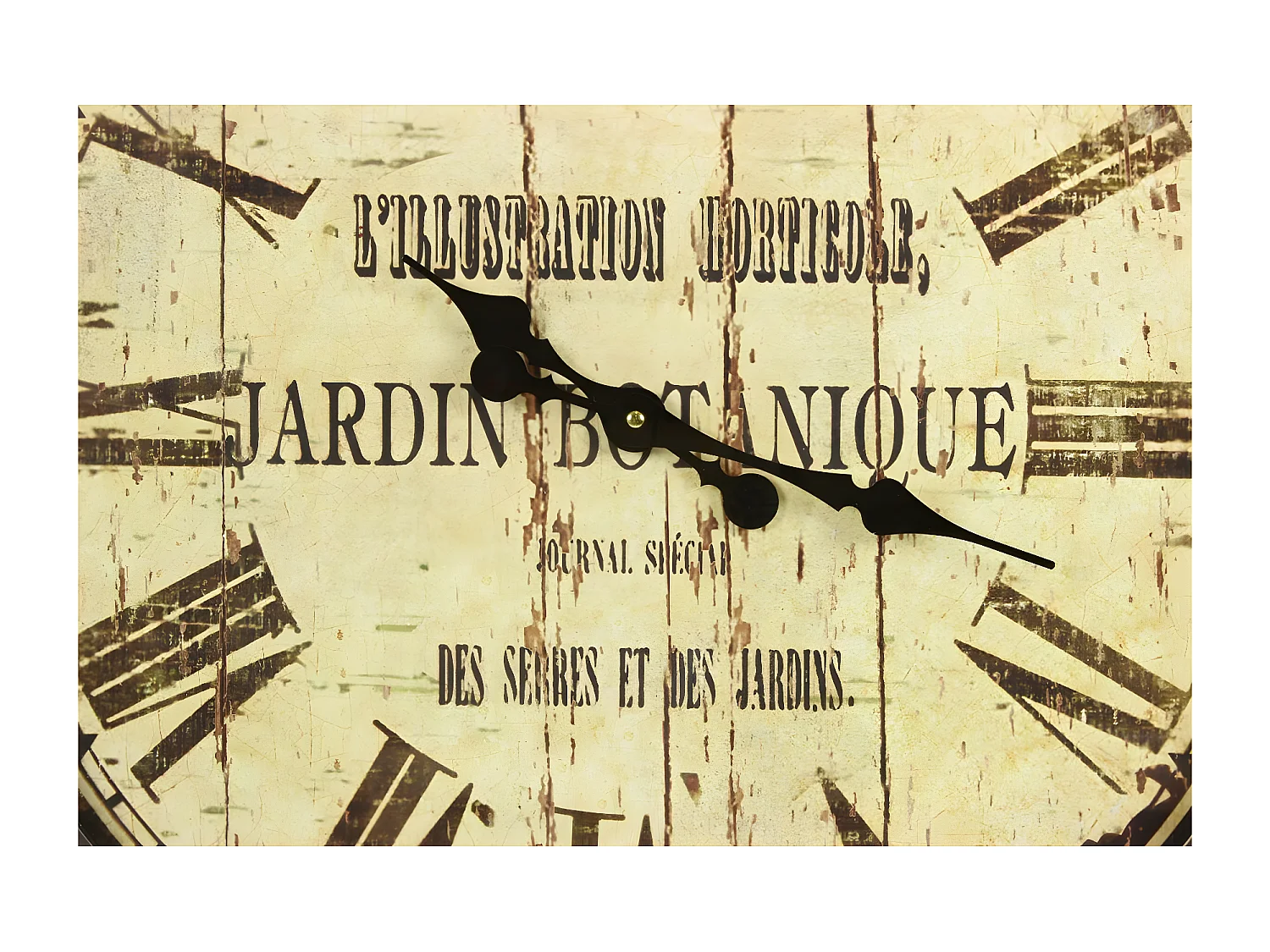 Grande horloge ancienne murale jardin botanique Fer Blanc - Décoration d'Autrefois