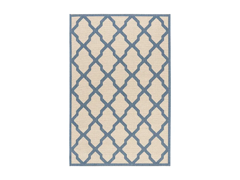 Tapis Neutre/Bleu 79 X 152 cm - Lewine