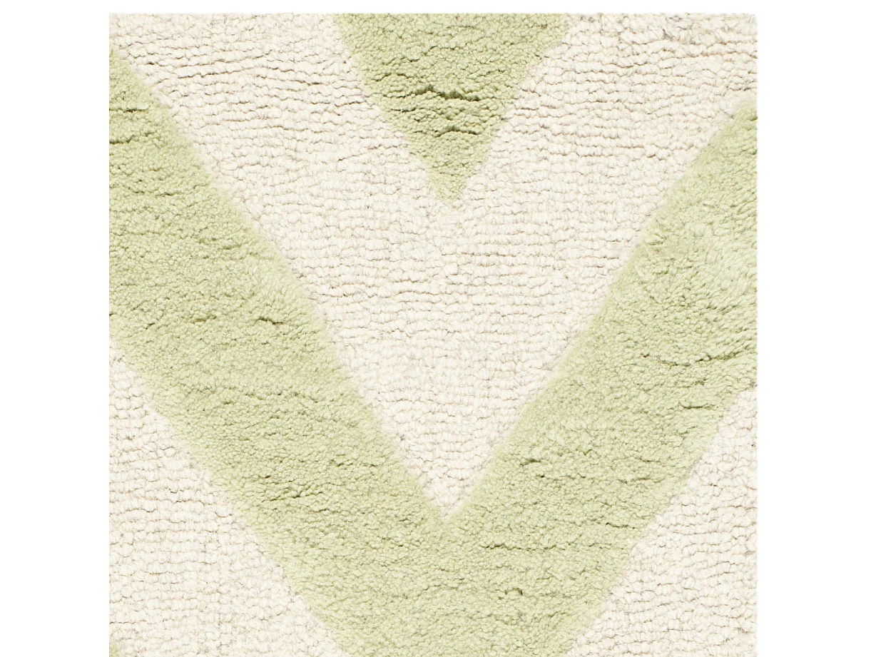 Tapis Vert/Neutre 61 X 91 cm - Stella