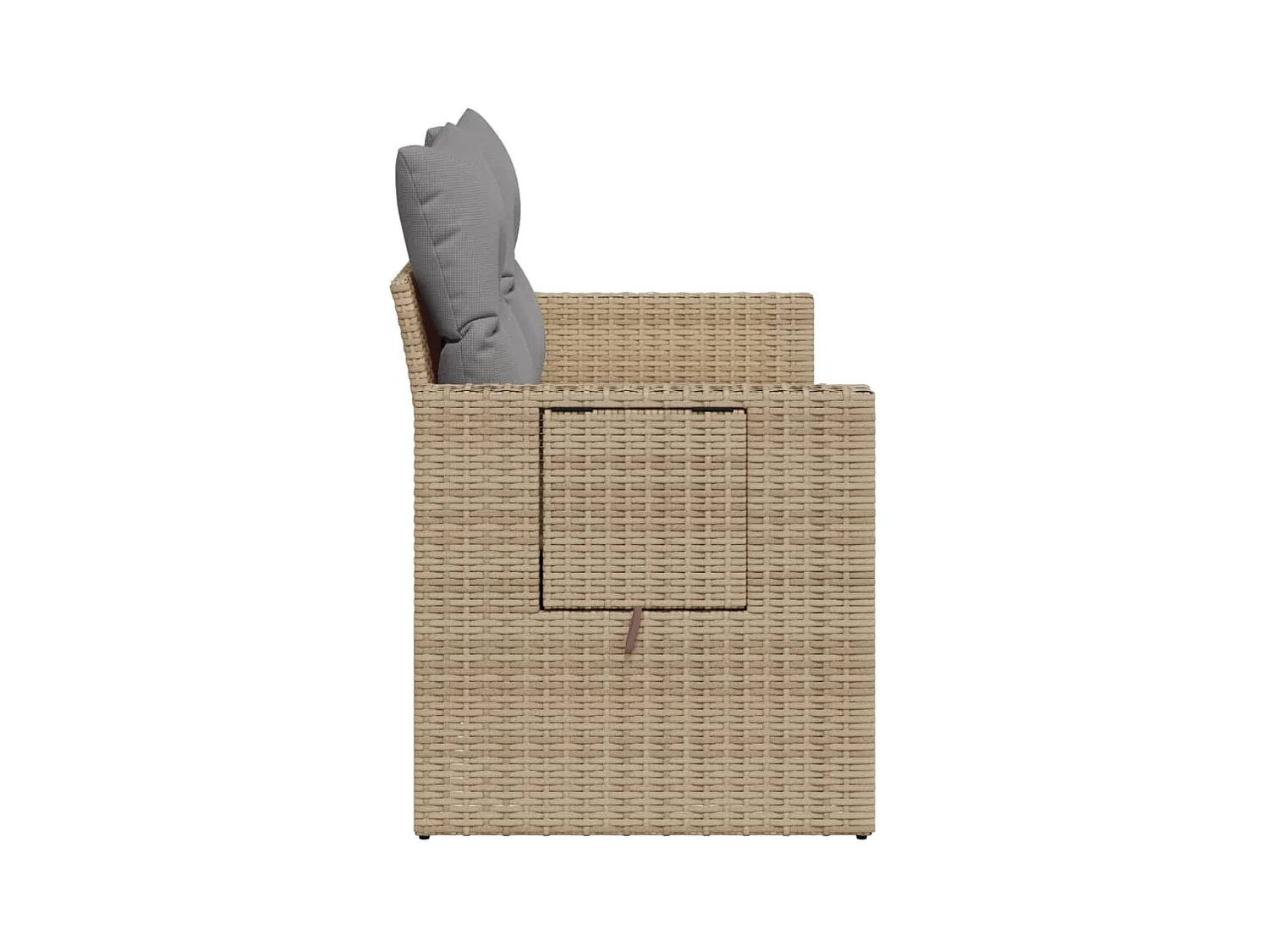 Tuinbank 2-zits met kussens poly rattan beige