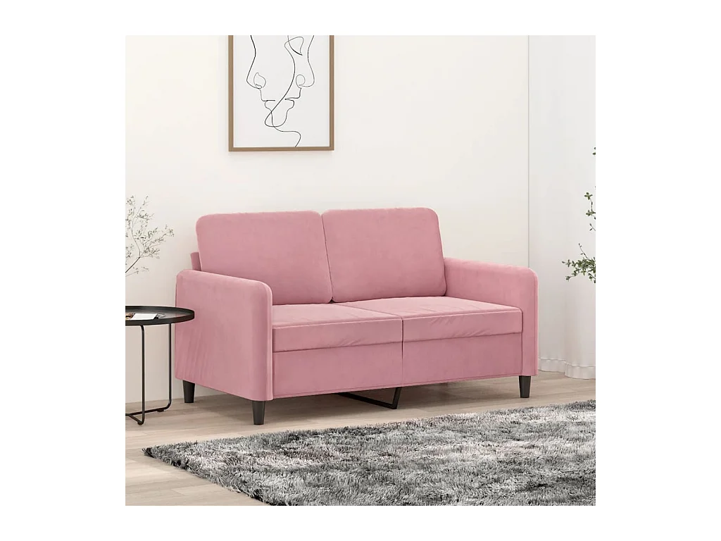 Canapé à 2 places Rose 120 cm Velours