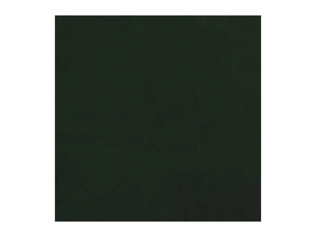 Slaapbank 2-zits fluweel donkergroen