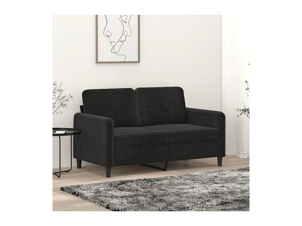 Canapé à 2 places Noir 120 cm Velours