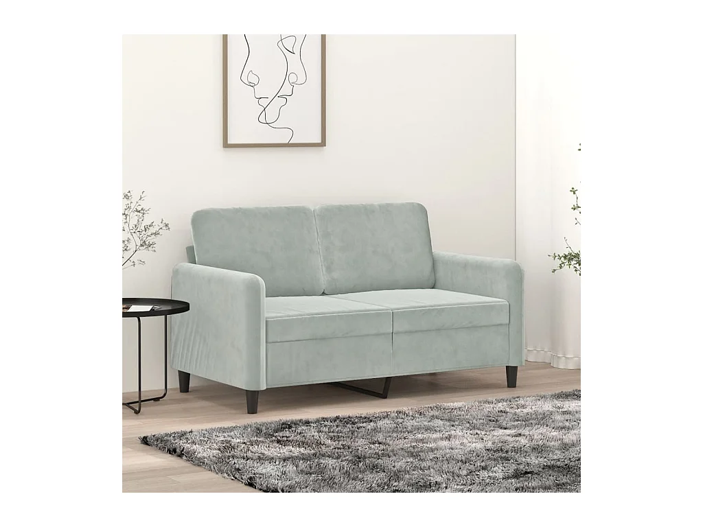 Canapé à 2 places Gris clair 120 cm Velours