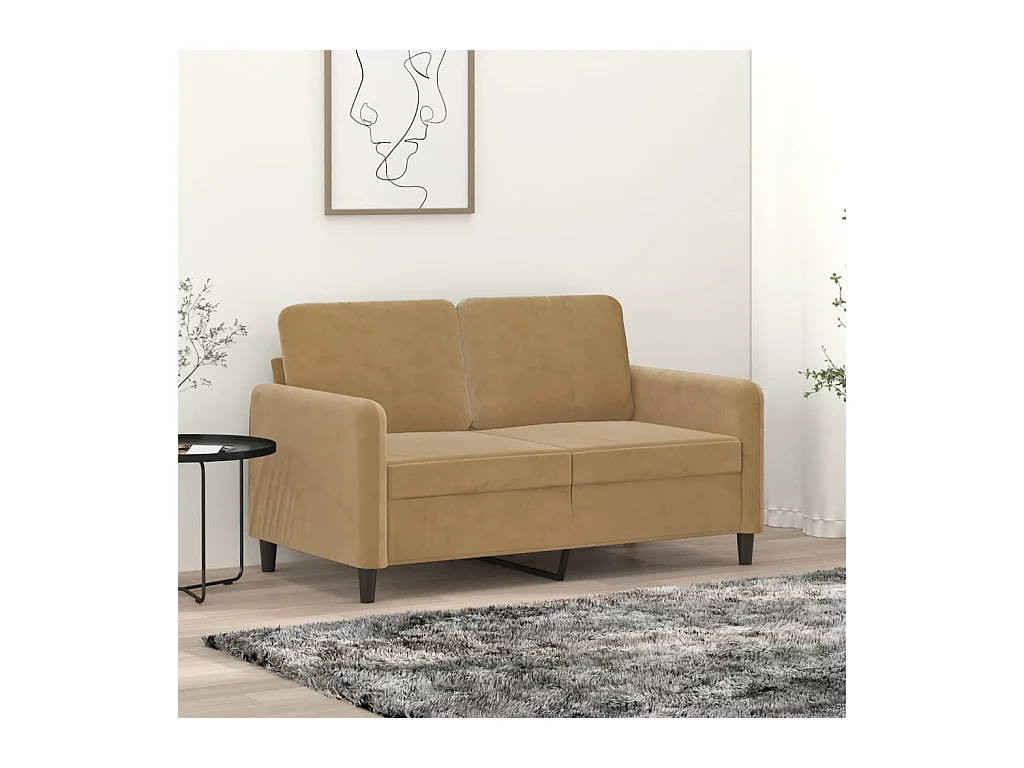 Canapé à 2 places Marron 120 cm Velours