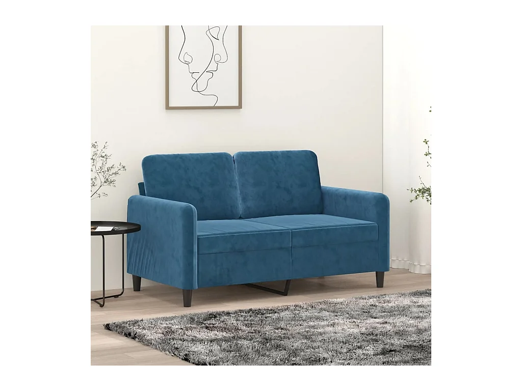 Canapé à 2 places Bleu 120 cm Velours