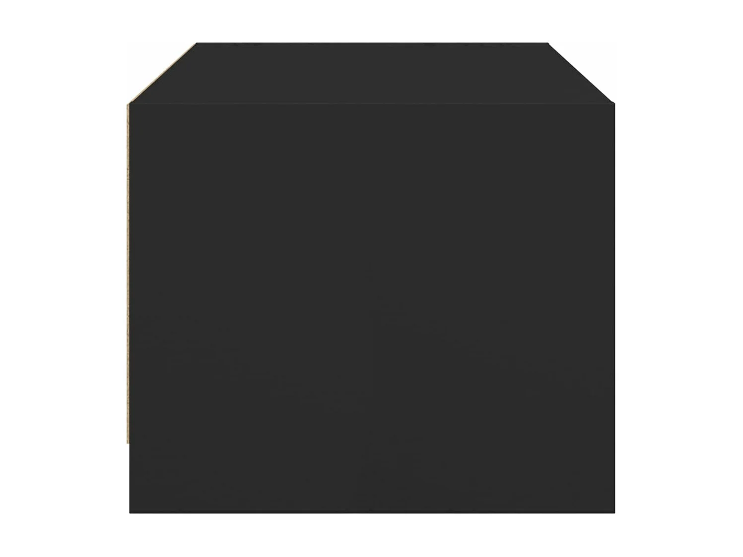 Table basse avec portes en verre noir 68x50x42 cm