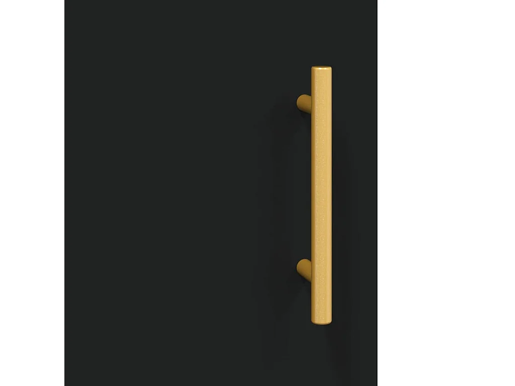 Wandkast 69,5x34x90 cm zwart