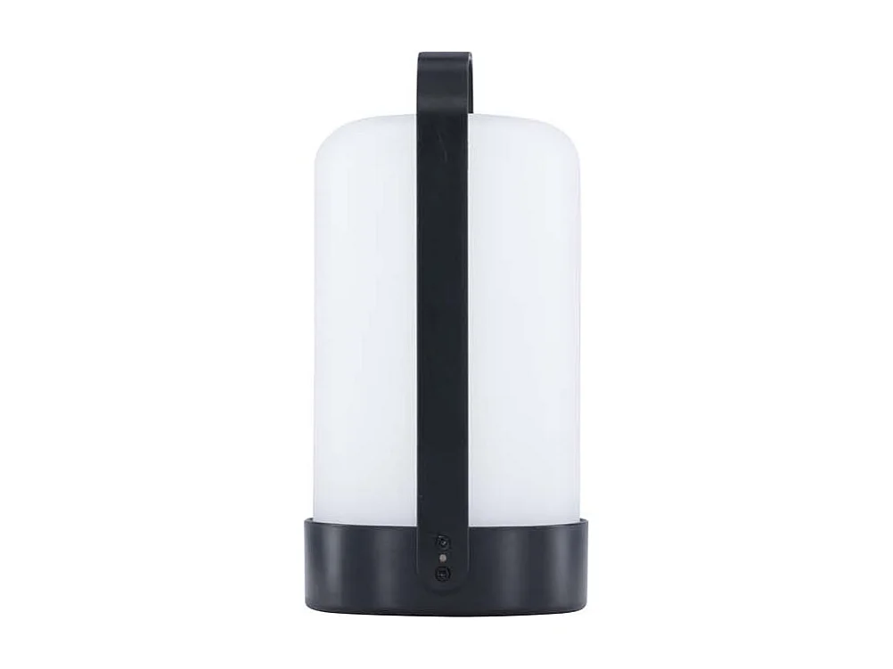 Fern tafellamp LED buiten zwart.