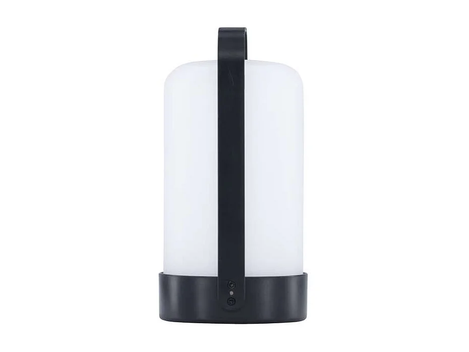 Fern tafellamp LED buiten zwart.