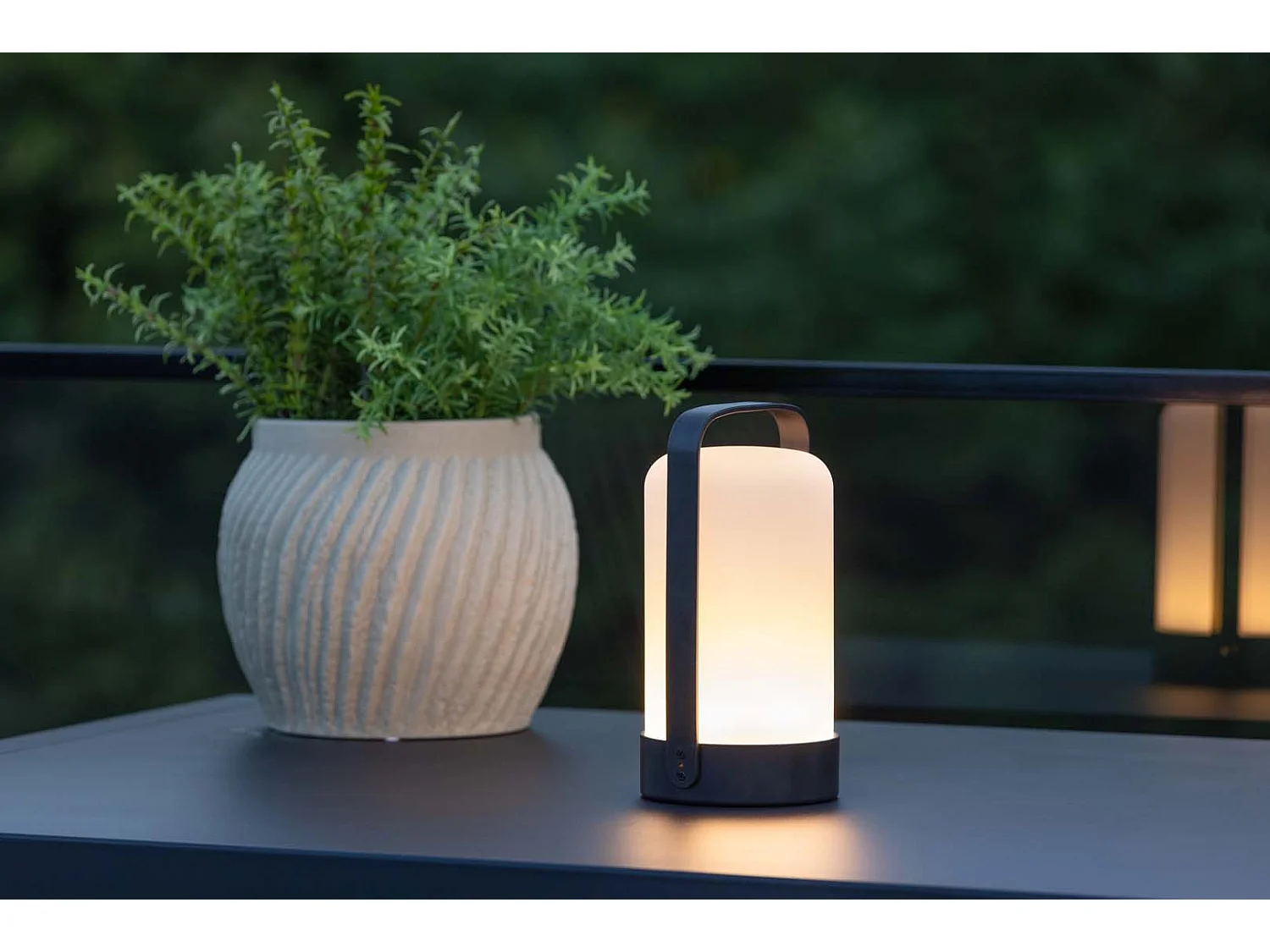 Fern lampe de table LED pour l'extérieur noir.