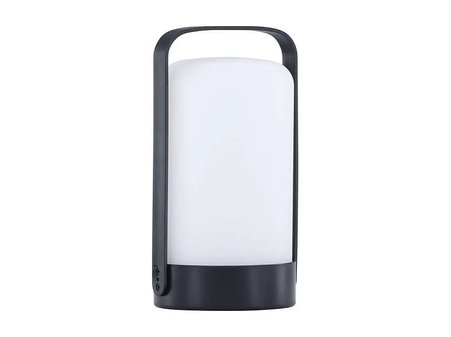 Fern lampe de table LED pour l'extérieur noir.