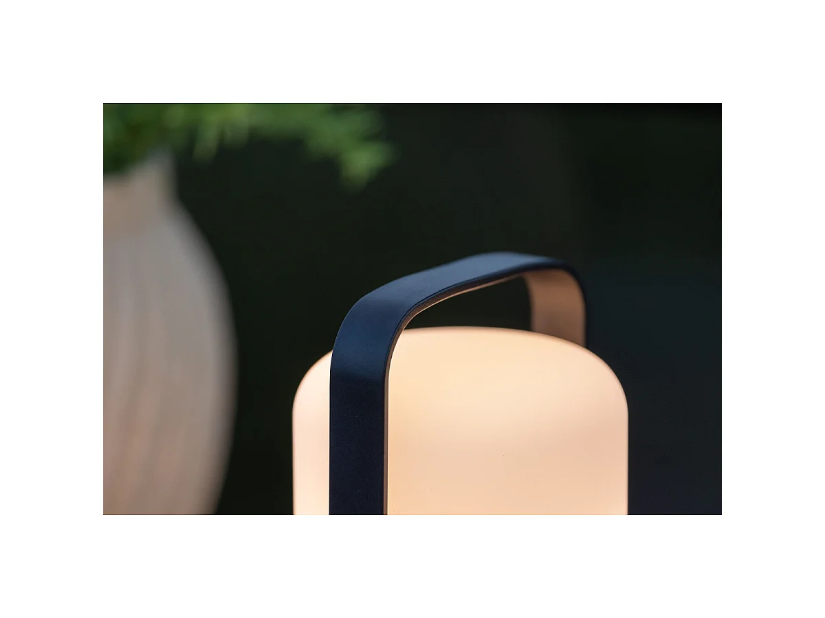 Fern tafellamp LED buiten zwart.