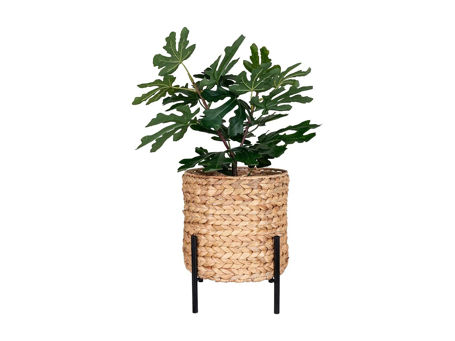 Antas Pflanzenschutz natur,schwarz.