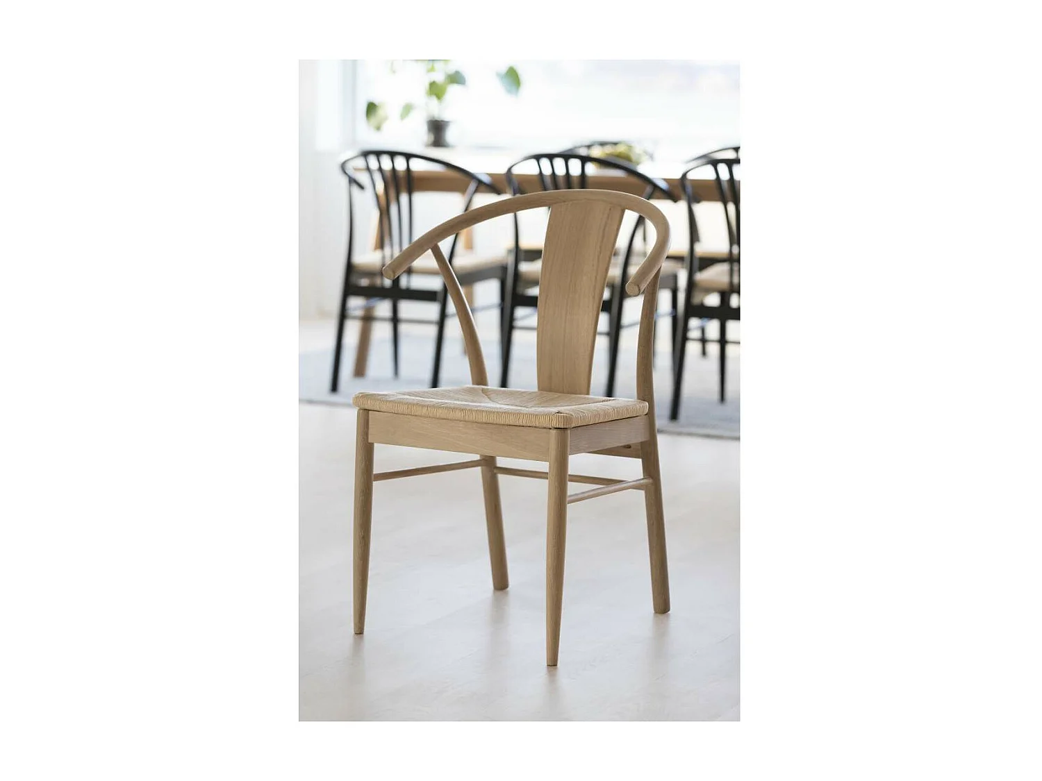 Janik chaise de salle à manger avec accoudoirs chêne.