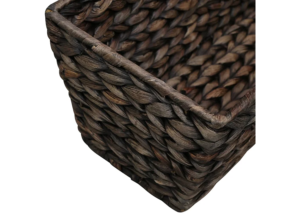 Jardinières 2 pcs Jacinthe d'eau Marron