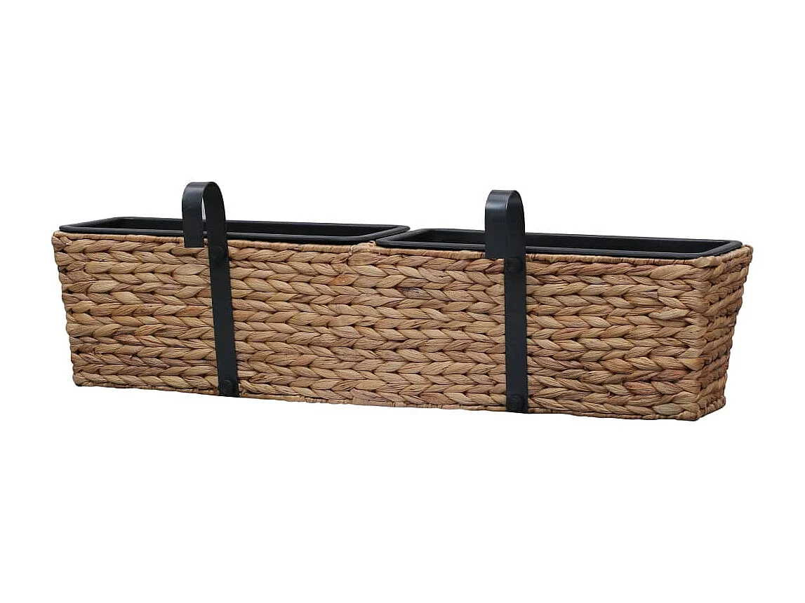 Jardinières 2 pcs Jacinthe d'eau 2