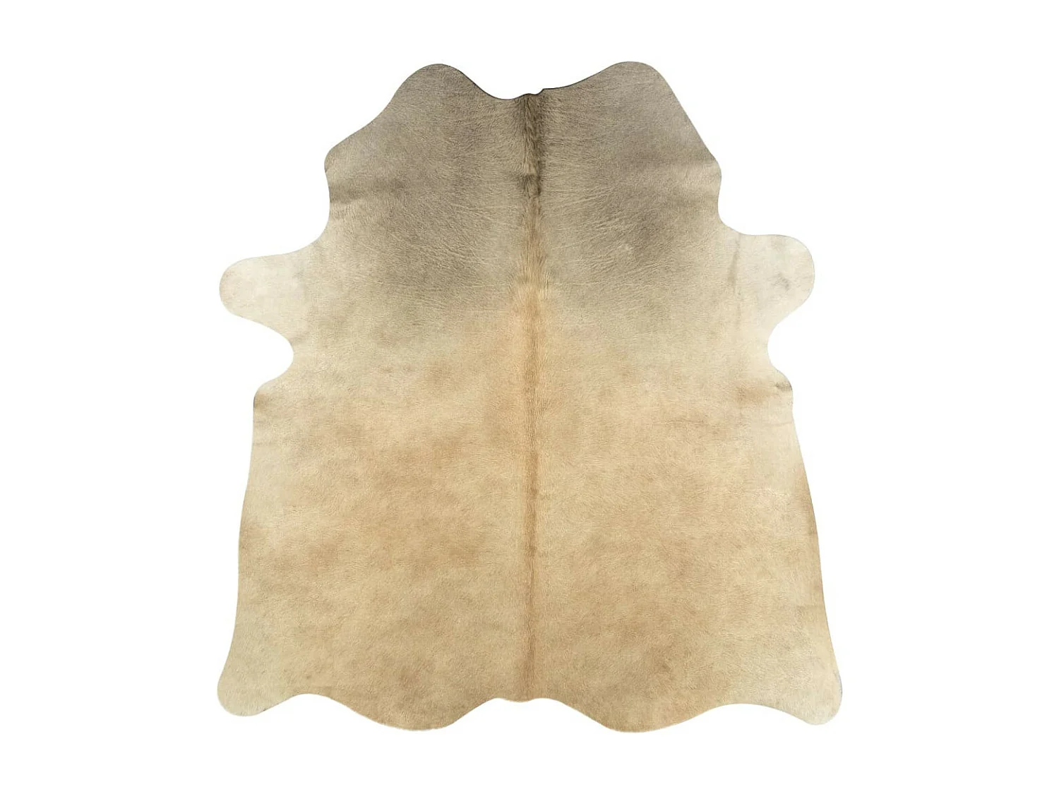 Tapis en peau de vache véritable 150x170 Beige