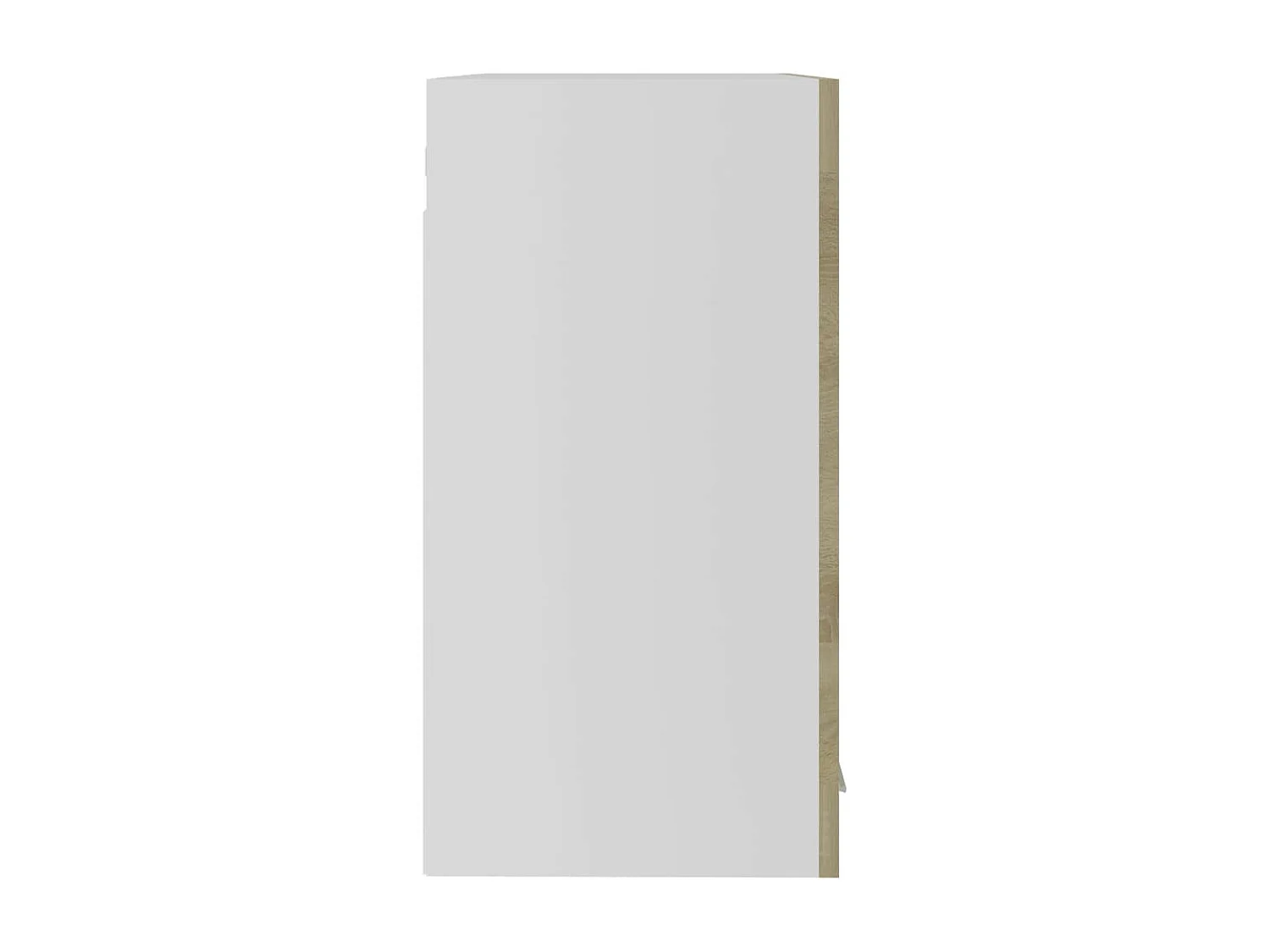 Armoire de cuisine en verre suspendue Chêne sonoma 60x31x60