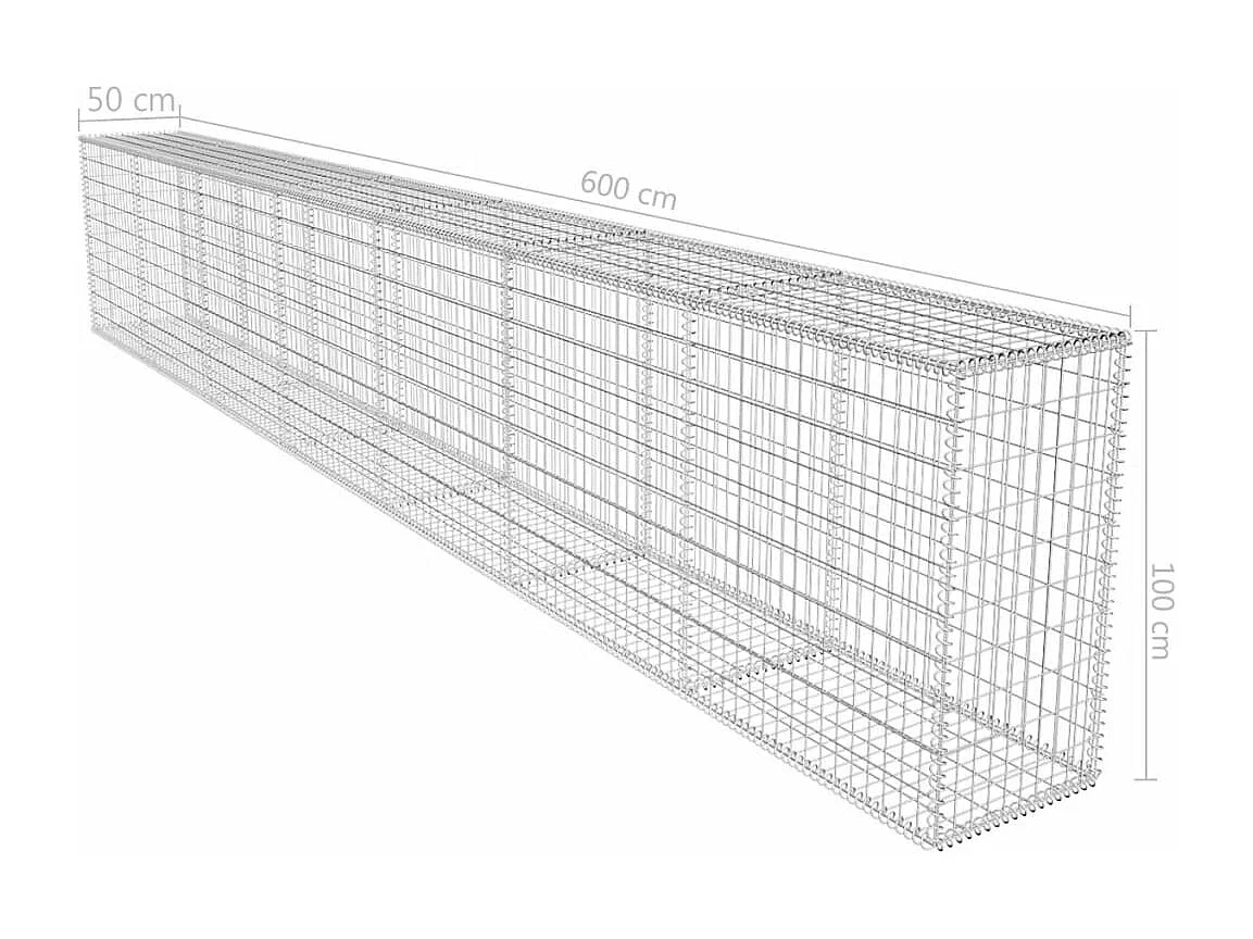 Mur en gabion avec couvercle Acier galvanisé 600x50x100