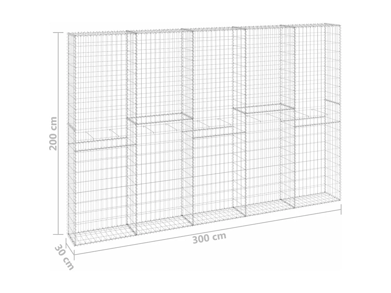 Mur en gabion avec couvercles Acier galvanisé 300x30x200