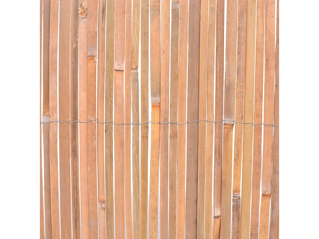 Clôtures en bambou 2 pcs 100x400