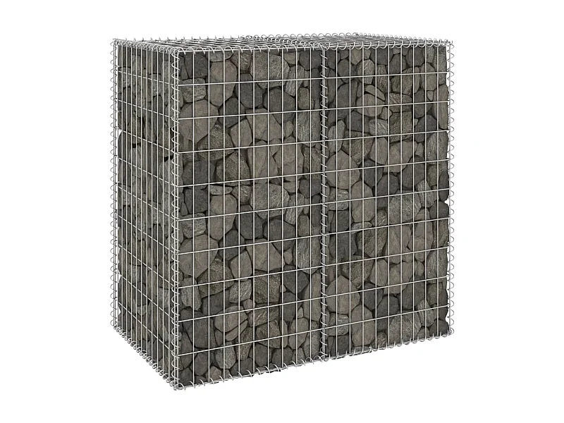 Mur en gabion avec couvercles Acier galvanisé 100x60x100