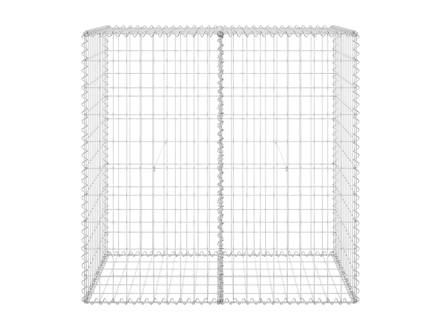 Mur en gabion avec couvercles Acier galvanisé 100x60x100