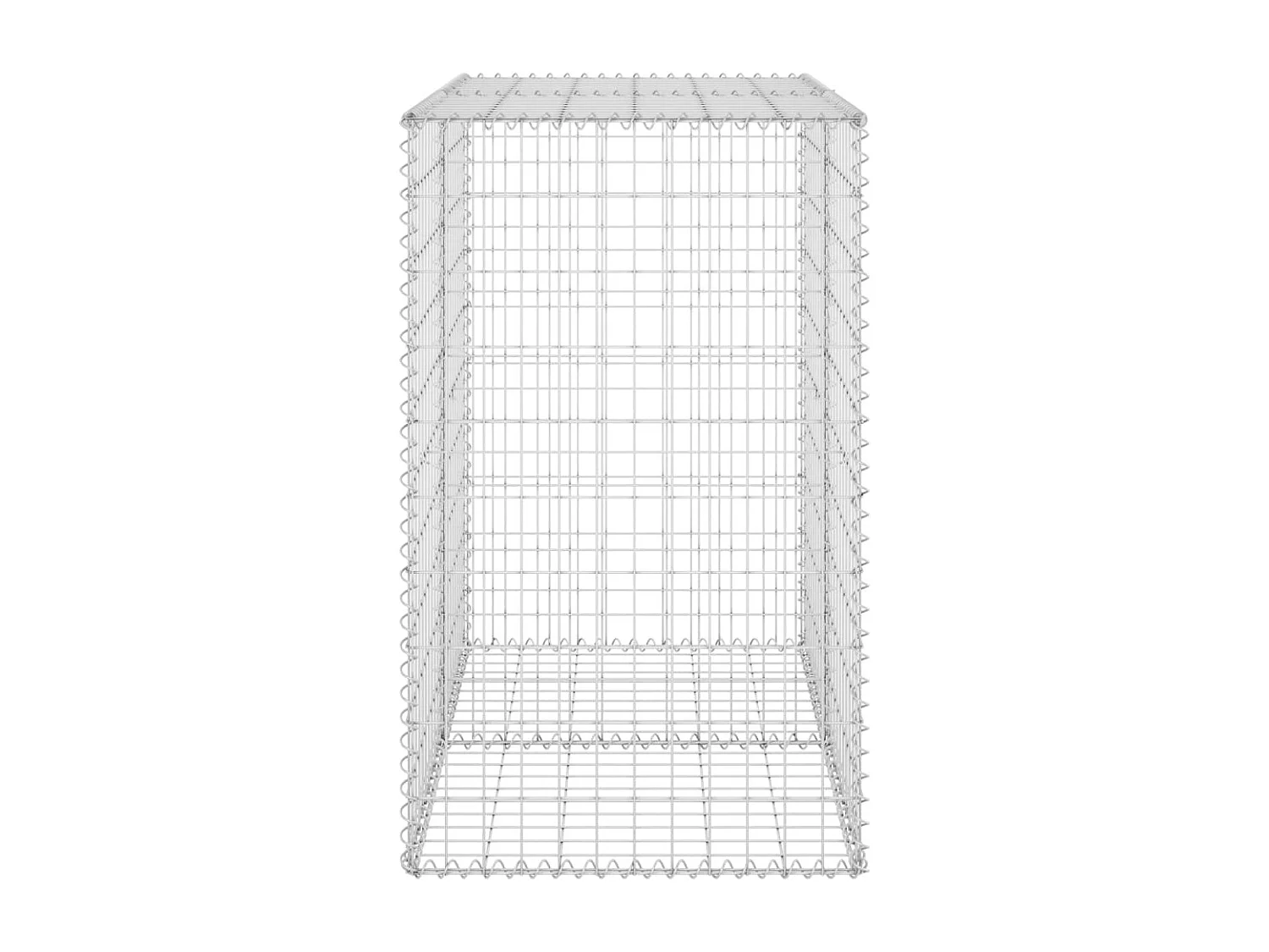 Mur en gabion avec couvercles Acier galvanisé 100x60x100